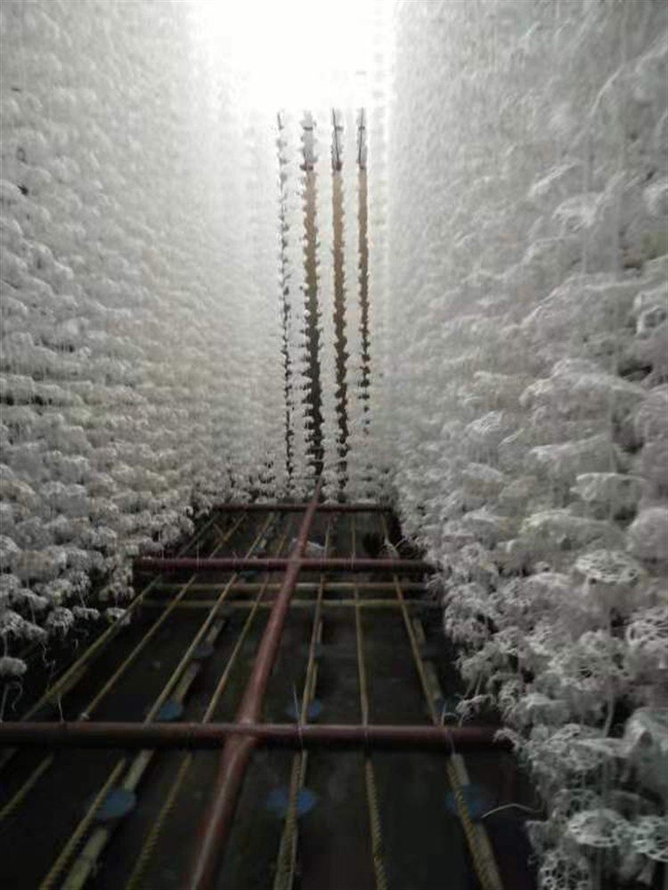Combined packing media factory