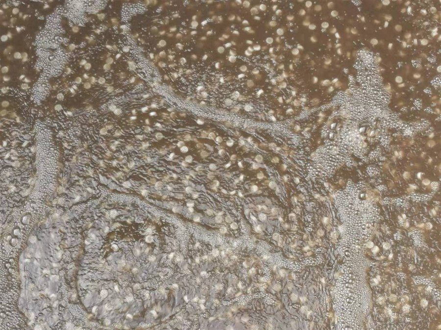 MBBR moving bed biofilm media
